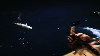 Хайнань: потянет ли поездка на рыбалку за 10000 юаней три дня и две ночи ради 60 килограммов красного снаппера