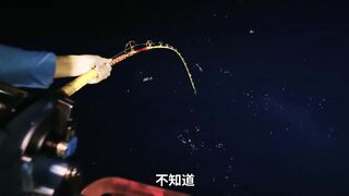 Хайнань: потянет ли поездка на рыбалку за 10000 юаней три дня и две ночи ради 60 килограммов красного снаппера