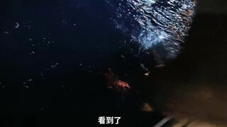 Хайнань: потянет ли поездка на рыбалку за 10000 юаней три дня и две ночи ради 60 килограммов красного снаппера