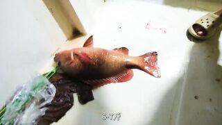 Хайнань: потянет ли поездка на рыбалку за 10000 юаней три дня и две ночи ради 60 килограммов красного снаппера