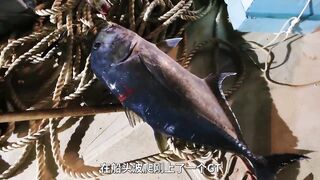 Хайнань: потянет ли поездка на рыбалку за 10000 юаней три дня и две ночи ради 60 килограммов красного снаппера