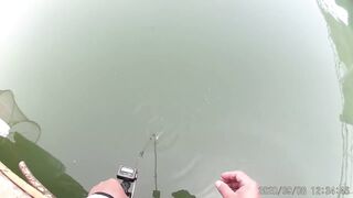 Морская рыбалка в Санья Хайнань: редкие морские рыбы циньи зебра и большой барабан в одном улове