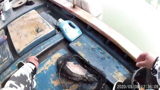 Морская рыбалка в Санья Хайнань: редкие морские рыбы циньи зебра и большой барабан в одном улове