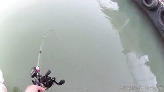 Морская рыбалка в Санья Хайнань: редкие морские рыбы циньи зебра и большой барабан в одном улове