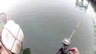 Морская рыбалка в Санья Хайнань: редкие морские рыбы циньи зебра и большой барабан в одном улове