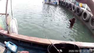 Морская рыбалка в Санья Хайнань: редкие морские рыбы циньи зебра и большой барабан в одном улове