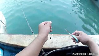 Морская рыбалка в Санья Хайнань: редкие морские рыбы циньи зебра и большой барабан в одном улове