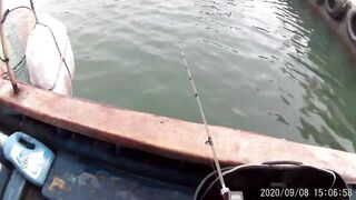 Морская рыбалка в Санья Хайнань: редкие морские рыбы циньи зебра и большой барабан в одном улове