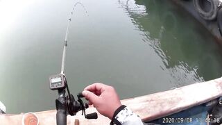 Морская рыбалка в Санья Хайнань: редкие морские рыбы циньи зебра и большой барабан в одном улове