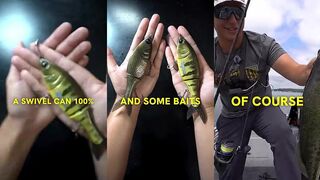 Вся правда о вертлюгах в спиннинге когда стоит их ставить а когда лучше привязывать приманку напрямую к леске