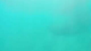 Снорклинг в Beldibi Kemer короткий заплыв с маской знакомство с подводным миром и скалами Турции