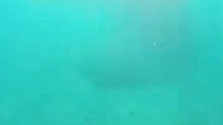 Снорклинг в Beldibi Kemer короткий заплыв с маской знакомство с подводным миром и скалами Турции