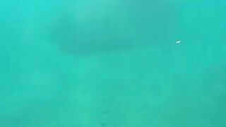 Снорклинг в Beldibi Kemer короткий заплыв с маской знакомство с подводным миром и скалами Турции