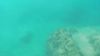 Снорклинг в Beldibi Kemer короткий заплыв с маской знакомство с подводным миром и скалами Турции