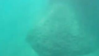 Снорклинг в Beldibi Kemer короткий заплыв с маской знакомство с подводным миром и скалами Турции