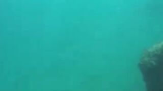 Снорклинг в Beldibi Kemer короткий заплыв с маской знакомство с подводным миром и скалами Турции