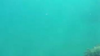 Снорклинг в Beldibi Kemer короткий заплыв с маской знакомство с подводным миром и скалами Турции