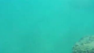 Снорклинг в Beldibi Kemer короткий заплыв с маской знакомство с подводным миром и скалами Турции