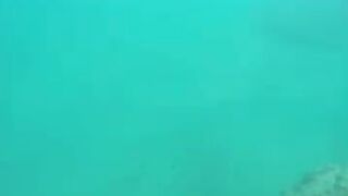 Снорклинг в Beldibi Kemer короткий заплыв с маской знакомство с подводным миром и скалами Турции