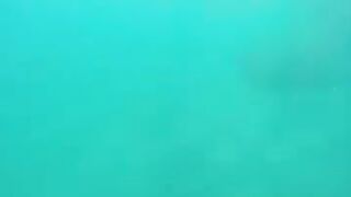 Снорклинг в Beldibi Kemer короткий заплыв с маской знакомство с подводным миром и скалами Турции