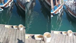 Рыбалка в Turkey тёплое море скалистые берега и простые снасти для отдыха с друзьями на побережье