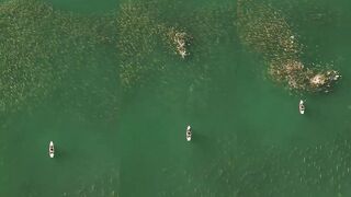 Самые безумные поклевки на топвотер когда поверхность кипит и каждая проводка дарит мощный удар по приманке