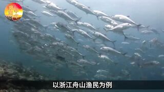 Впервые показали Дяоюйдао: скрытые тайны островов и почему Япония не отпускает спорный район