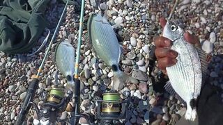 Balık avı на melenur в Konyaaltı вечерняя ловля у городской набережной Анталии и огней побережья