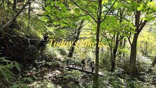 От Камикочи до Якедаке: соло подъем для пугливой туристки и знакомство с природой Японии