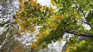 От Камикочи до Якедаке: соло подъем для пугливой туристки и знакомство с природой Японии