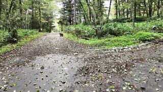 От Камикочи до Якедаке: соло подъем для пугливой туристки и знакомство с природой Японии