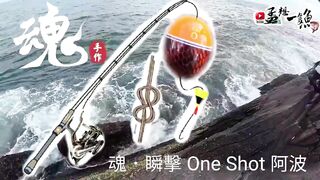 三仙黑礁坪: глубокие бровки и мощное течение как лёгкой снастью вытащить гигантов сезона 黒毛