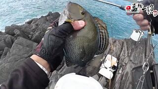 三仙黑礁坪: глубокие бровки и мощное течение как лёгкой снастью вытащить гигантов сезона 黒毛