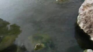 Река Göynük почти пересохла летний отдых в горах рядом с Кемером и прогулка по каменному руслу