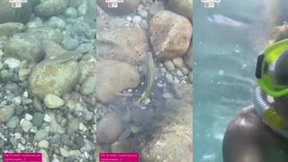 Подводный мир в Бельдиби Турция маска ласты и стайки рыб среди прибрежных скал Средиземного моря