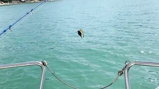 Провальная морская рыбалка на Хайнане: улов почти ноль но мы всё равно довольны морем и поездкой