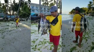 Боракай торговец свежей рыбой в шесть утра как начинается рабочий день простого местного рыбака