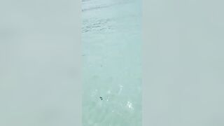 Морская рыбалка на Boracay маленькая лодка у рифа и первая серьёзная рыба в дневном выезде по волне