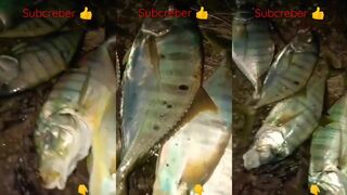 Ночная морская рыбалка на Боракай желтохвостый джекфиш и другие хищники выходят на охоту