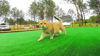 Боракай экскурсии и цены что делать на острове помимо пляжа снорклинга и прогулок по набережной