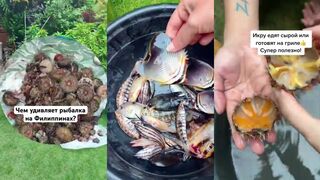 Скромный улов у берега Боракай - когда рыбалка для души важнее полного ведра трофейной рыбы