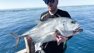 Fishing Egypt 2020: морская рыбалка в Египте лодка пустыня и горячее Красное море вокруг