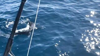 Fishing Egypt 2020: морская рыбалка в Египте лодка пустыня и горячее Красное море вокруг