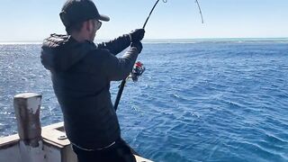 Fishing Egypt 2020: морская рыбалка в Египте лодка пустыня и горячее Красное море вокруг