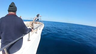 Fishing Egypt 2020: морская рыбалка в Египте лодка пустыня и горячее Красное море вокруг