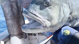 Fishing Egypt 2020: морская рыбалка в Египте лодка пустыня и горячее Красное море вокруг