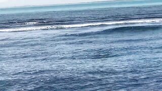 Fishing Egypt 2020: морская рыбалка в Египте лодка пустыня и горячее Красное море вокруг