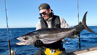 Fishing Egypt 2020: морская рыбалка в Египте лодка пустыня и горячее Красное море вокруг