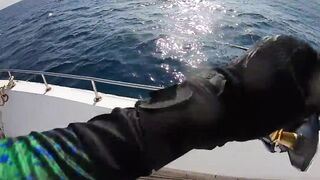 Fishing Egypt 2020: морская рыбалка в Египте лодка пустыня и горячее Красное море вокруг