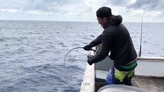 Fishing Egypt 2020: морская рыбалка в Египте лодка пустыня и горячее Красное море вокруг